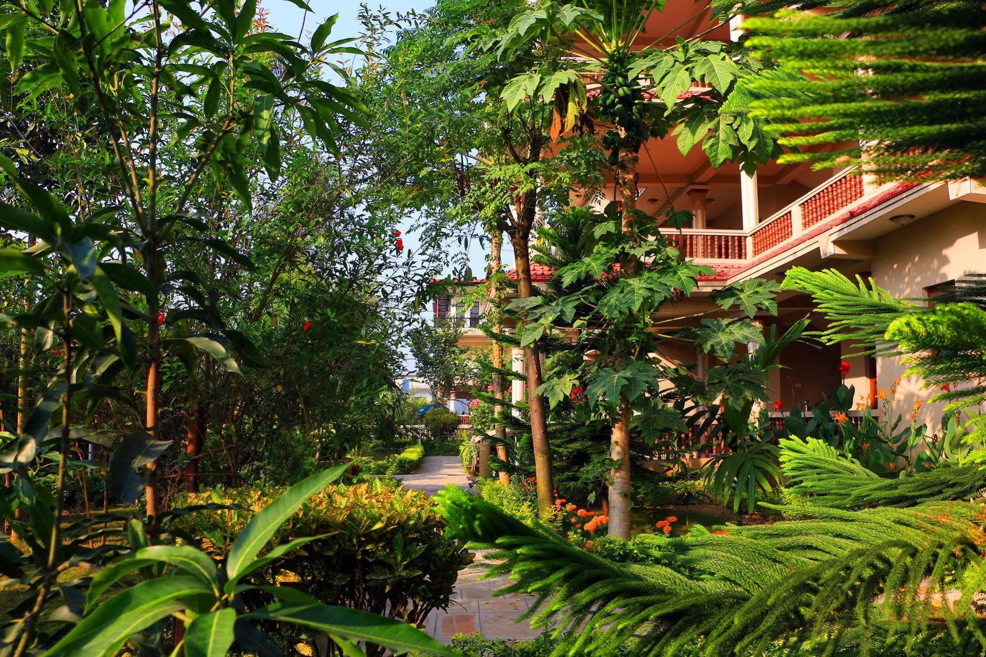 סאורהה Hotel Royal Safari מראה חיצוני תמונה